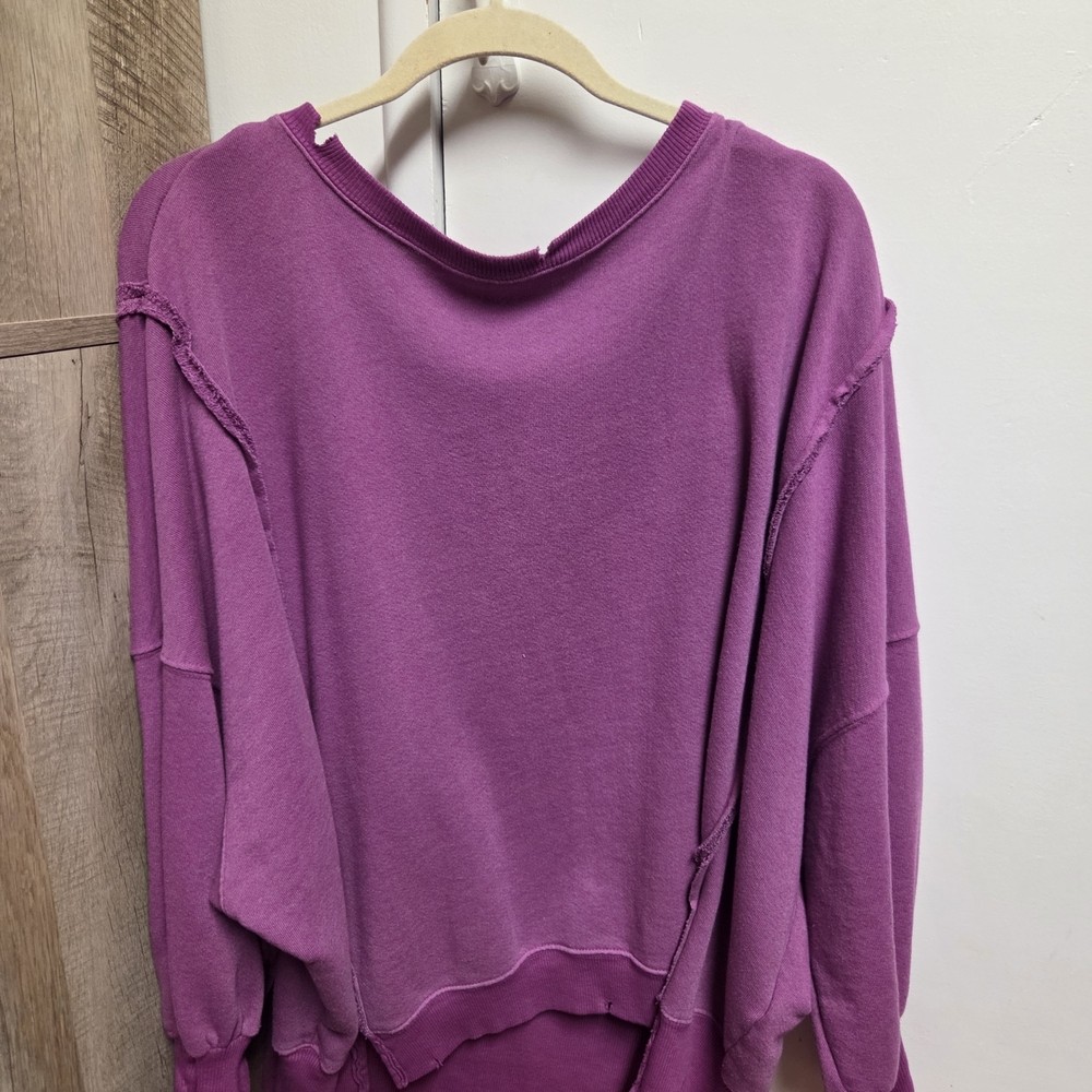 We The Free Camden Sweatshirt- XS